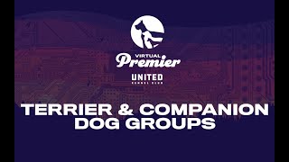 UKC Virtual Premier Total Dog Challenge: Companion & Terrier Groups