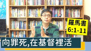 2020.08.03 活潑的生命 羅馬書6:1-11 逐節講解