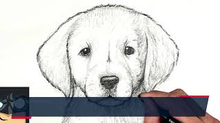 Unlock the Secrets of Love Compatibility with Soulmate Sketch: Your Guide to Finding True Lov