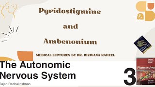 Pyridostigmine and Ambenonium  | Indirect Acting Cholinergic Agonists | Lippincott Pharmacology