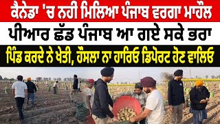 Viral News: Canada 'ਚ ਨਹੀਂ ਮਿਲਿਆ ਪੰਜਾਬ ਵਰਗਾ ਮਾਹੌਲ, PR ਛੱਡ Punjab ਆ ਗਏ ਸਕੇ ਭਰਾ