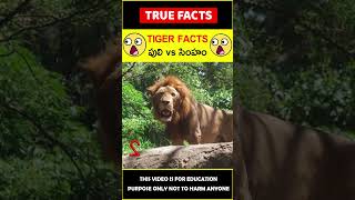 Tiger Facts in Telugu #factsintelugu 😱పులి Facts😱 #amazingfacts #truefacts #shorts