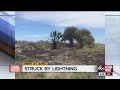 Man hospitalized after lightning strike at Sand Key Park