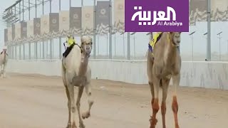 صباح العربية | اختتام فعاليات مهرجان ولي العهد للهجن