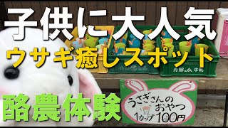 子供から大人まで人気！動物と触れ合える酪農王国「オラッチェ」静岡県函南町でヤギやポニー、ウサギと触れ合える動物園！箱根、熱海、三島、沼津の観光スポット