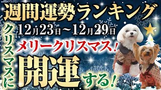 週間運勢ランキング！12月23日から29日メリークリスマス！クリスマスに開運する！