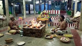 SRI ASWARUDU VARAGI PANJAMI HOMAM ஸ்ரீ அஸ்வாரூட வாராஹி  ஹோமம் #ஹோமம் #பஞ்சமி #வாராஹி