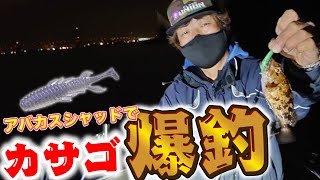 名古屋港でロックフィッシュ爆釣しちゃいました！【藤木淳】