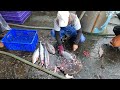 粉鳥林 fisher helping people cutting fishes 難得漁工幫忙殺魚 定置漁場 seafood fishport fishground