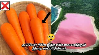 அடடே !  என்ன ஒரு விசித்திரமான கடல் ! / secret inside / tamil / தமிழ் / interesting tamil facts / .