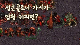 성큰콜로니 가시가 엄청 커지면? - 스타크래프트1