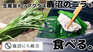 栃木県鹿沼市のにらを食べる！！にらしゃぶがシンプルで美味しい！！