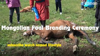 MONGOLIAN FOAL CEREMONY | part 3