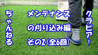 メンテナンス作業刈り込み編その２（全６回）