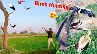 Airgun Sy Birds Ka Shikar Kia😍