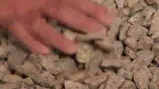 Crawl Spaces - Insulation, Vapor Barriers, and Ventilation