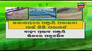 Agriculture Program Annadata | ବୈଜ୍ଞାନିକ ପଦ୍ଧତିରେ ପୋଇଶାଗ ଚାଷ | April 27, 2019