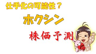 【株式投資】仕手株注意！？失敗しないホクシンの攻略法とは？