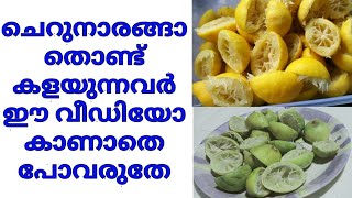 ഇനി ചെറുനാരങ്ങാ തൊണ്ട് കളയല്ലേ/ Don't Throw away Lemon Peel/ The best cleaning solution/Spoon \u0026 Fork