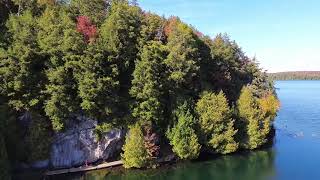 Autumn Foilage in Ontario , mesmerizing hike in the Limberlost Forest and Wildlife Reserve.