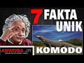 7 FAKTA UNIK KOMODO Yang belum Banyak di Ketahui Orang...!