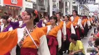 高知よさこい祭り2016　本祭二日目　高知高専学生会　帯屋町演舞