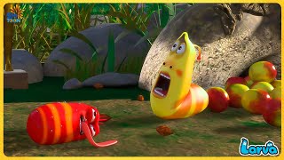 LARVA TUBA TOP 30 EPISODE: TROPICAL FRUITS - SMToon Asia