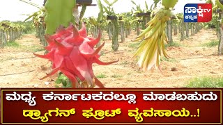 ದಾವಣಗೆರೆಯಲ್ಲೂ ಡ್ರ್ಯಾಗನ್ ಫ್ರೂಟ್ ಕೃಷಿ..! | Dragon fruit forming in DAVANAGERE