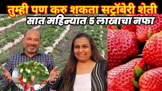 सात महिन्यात ५ लाख नफा | तुम्ही पण करु शकता स्ट्रॉबेरी शेती | Pune Strawberry farming | स्ट्रॉबेरी .