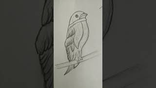 very easy bird drawing tutorial, bird sketch, nature sketch scenery drawing