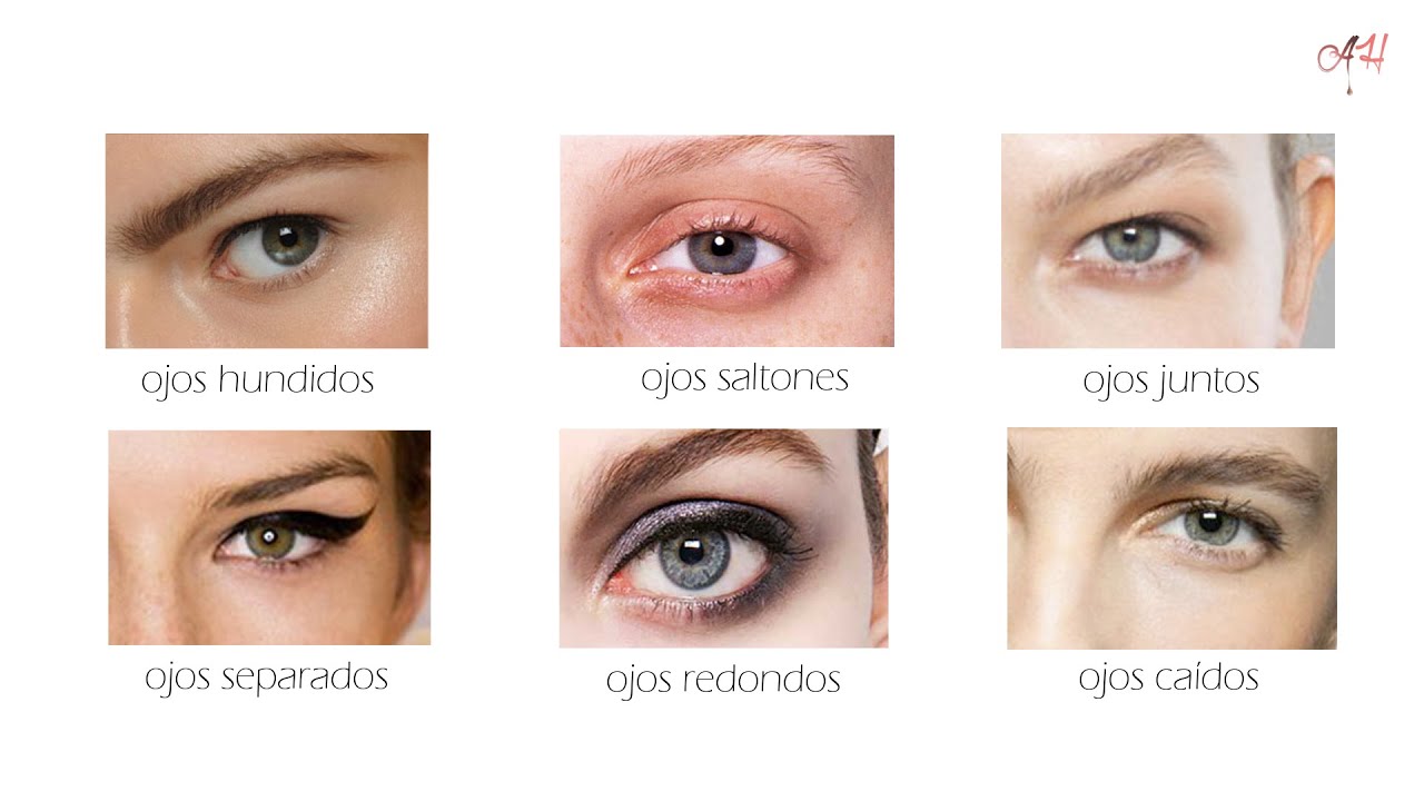 Diferentes Tipos De Ojos 1 600 Ojos Verdes Ilustraciones De Stock