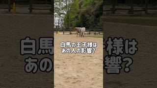 白馬の王子様について　#馬 #horse #勉強 #解説 #雑学 #歴史