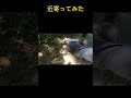 近寄ってみた vocaloid fnf hatsunemiku ボカロ 初音ミク ねこ動画 野良猫 ねこねこ musicgame cat