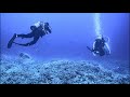 diving in hawaii ハワイ島での体験ダイビング