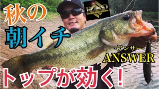 【バス釣り】秋の朝イチはトップがアツい‼️