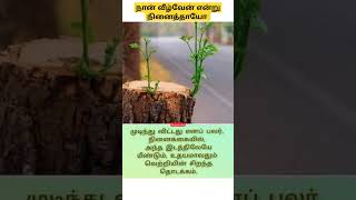 விடா முயற்சியுடன் பயணிங்கள் #motivation #memes #newmemes #short #tamil