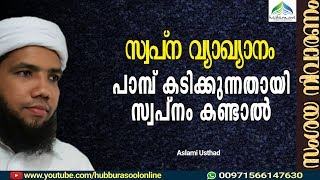 swapna vyakyanam | ഉറക്കിൽ പാമ്പ് കടിക്കുന്നതായി സ്വപനം കണ്ടാൽ | Muneer Aslami Usthad