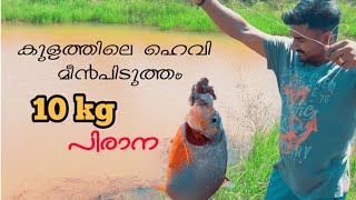 വീട്ടിലെ കുളത്തിലെ നാടൻ പിരാന മീൻപിടുത്തം