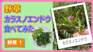 【野草】野草001。カラスノエンドウを食べてみた【雑草】