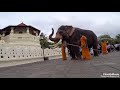 Elephant Stories - GOPRO HERO 5 - Kandy Sri Lanka 2017