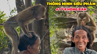 Độc Lạ Việt Nam Chú Khỉ Siêu Thông Minh Trả 4 Tỷ Không Bán