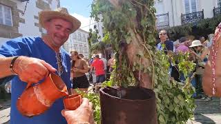 Caminando por Mondoñedo en fiestas 4k. Ventana Atlántica