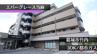 物件名　エバーグレース当麻　105号室　★奈良の賃貸MARUWA｜株式会社丸和不動産 ＃奈良の賃貸 #MARUWA