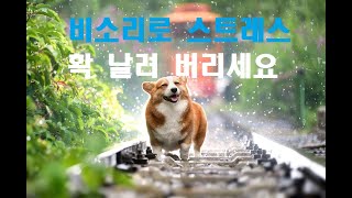 박진선 솔바람 힐링 시노래 비가 오는날..( #비소리, #희망시 ,#힐링시 , )