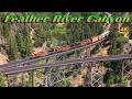 Breathtaking Feather River Canyon Train Chase (4K) | July 10, 2024