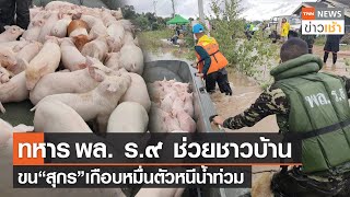 ทหาร พล.ร.9 ช่วยชาวบ้าน ขน“สุกร”เกือบหมื่นตัวหนีน้ำท่วม l TNN News ข่าวเช้าวันอังคารที่ 19 ตุลาคม 64