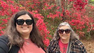 Our visit to Azalea Park in Summerville to see the azaleas in bloom.