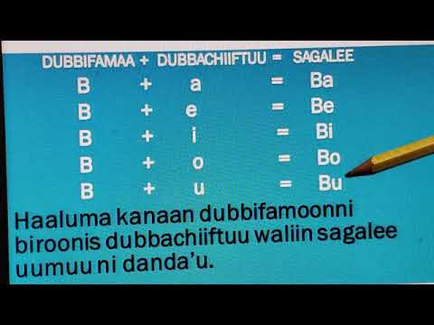 BARNOOTA QUBEE AFAAN OROMOO - YouTube