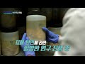 mbc 다큐프라임 스페인은 치매에 어떻게 대처하고 있을까 mbc 250209 방송