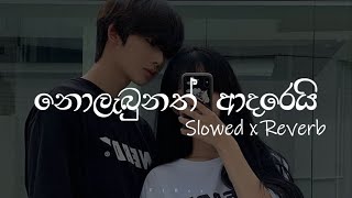 Nolabunath Adarei | නොලැබුනත් ආදරෙයි  | Slowed x Reverb | @ViBez_page